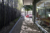 Enlarge photo 35