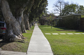 Enlarge photo 59