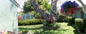 Enlarge photo 28