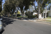 Enlarge photo 48