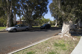 Enlarge photo 53