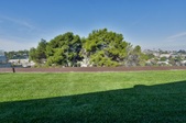 Enlarge photo 54
