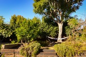 Enlarge photo 29