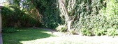 Enlarge photo 53