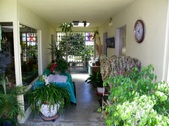 Enlarge photo 80