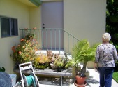 Enlarge photo 82