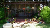 Enlarge photo 35