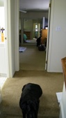 Enlarge photo 68