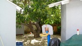 Enlarge photo 73