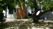 Enlarge photo 74