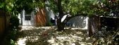Enlarge photo 75