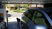 Enlarge photo 81