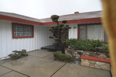 Enlarge photo 91