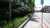 Enlarge photo 66