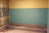 Enlarge photo 143