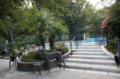 Enlarge photo 55