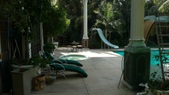 Enlarge photo 53