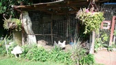 Enlarge photo 55