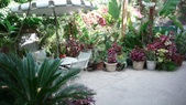 Enlarge photo 85