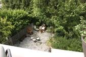 Enlarge photo 47