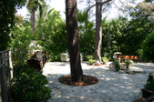Enlarge photo 57