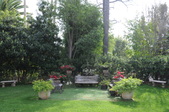 Enlarge photo 60