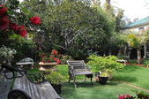 Enlarge photo 62