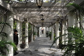 Enlarge photo 65