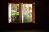 Enlarge photo 36