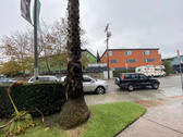 Enlarge photo 10