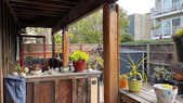 Enlarge photo 41