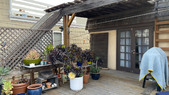 Enlarge photo 65