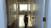 Enlarge photo 67
