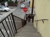 Enlarge photo 58