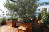 Enlarge photo 46