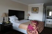Enlarge photo 33