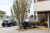 Enlarge photo 41