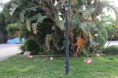 Enlarge photo 34