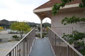 Enlarge photo 40