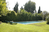Enlarge photo 30