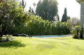 Enlarge photo 35