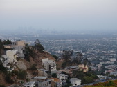 Enlarge photo 63