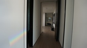 Enlarge photo 83
