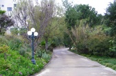 Enlarge photo 53
