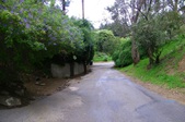 Enlarge photo 57