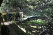 Enlarge photo 63