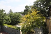Enlarge photo 67
