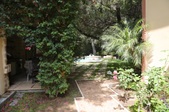 Enlarge photo 83