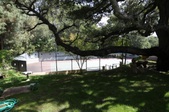 Enlarge photo 97