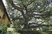 Enlarge photo 106